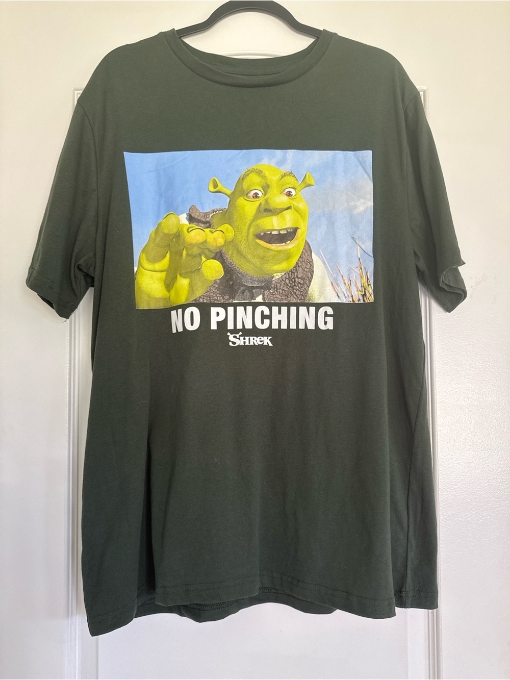DreamWorks Shrek No Pinching Graphic Tee Shirt XL 46-48 Green Meme